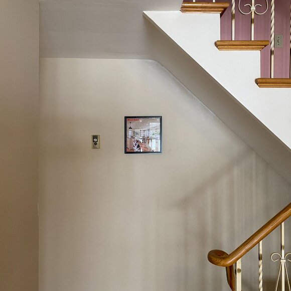 Amazing Fun Dog Decorations Art Poster (Unframed) (Mixed Breed (12"x12")) - Picture 4 of 4